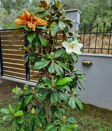 Maisonette Zhana Holiday home Nea Iraklitsa